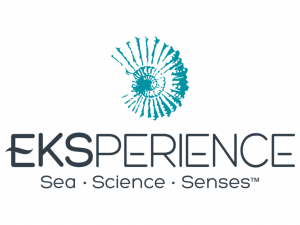 Logotype för EKSperience